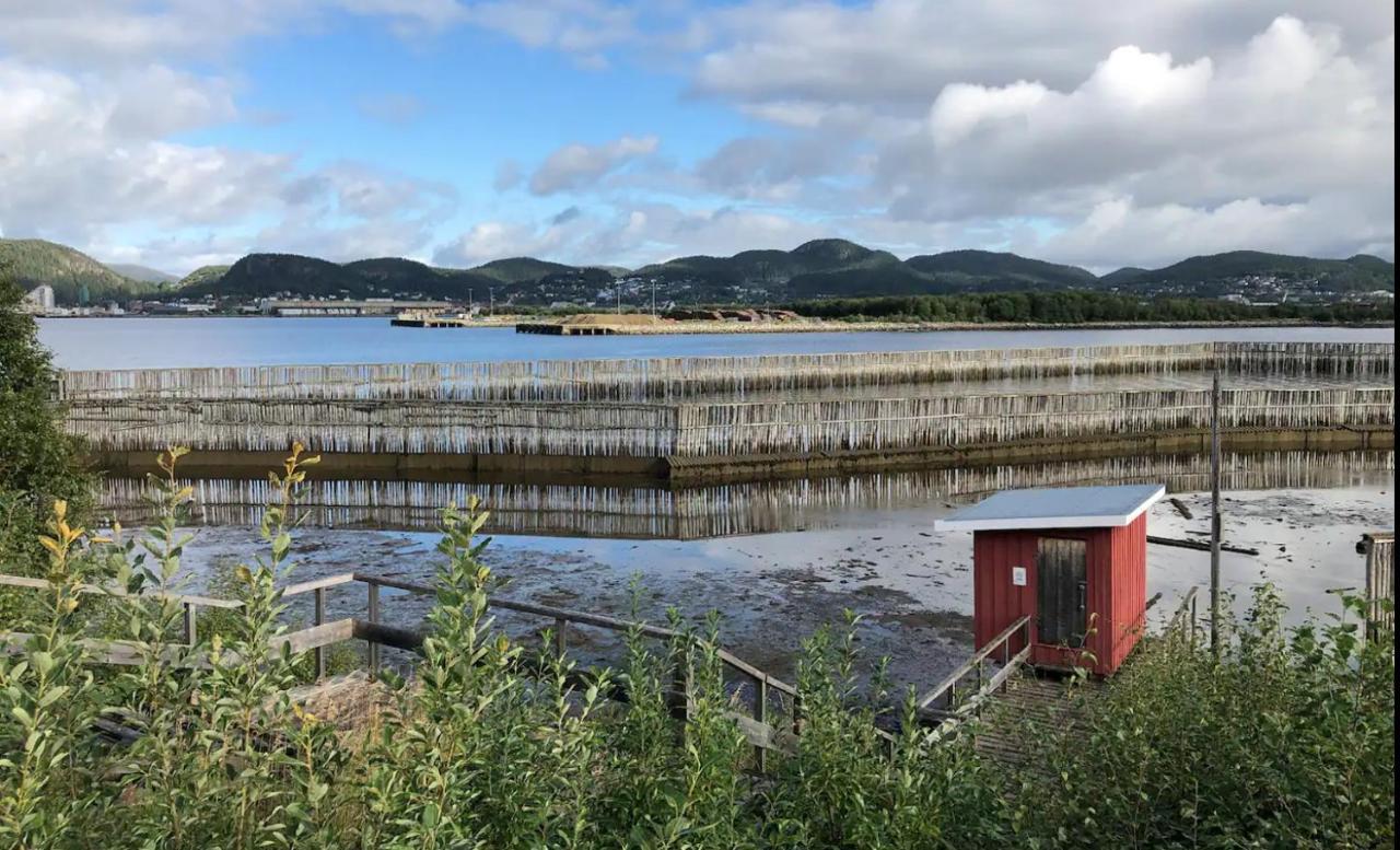 Stille Og Landlig, Men Sentrumsnaer Leilighet Lägenhet Namsos Exteriör bild