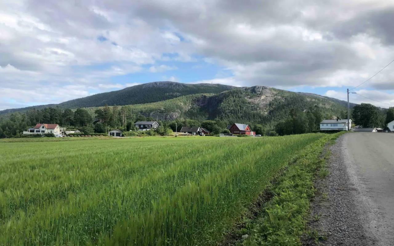 Stille Og Landlig, Men Sentrumsnaer Leilighet Lägenhet Namsos Exteriör bild