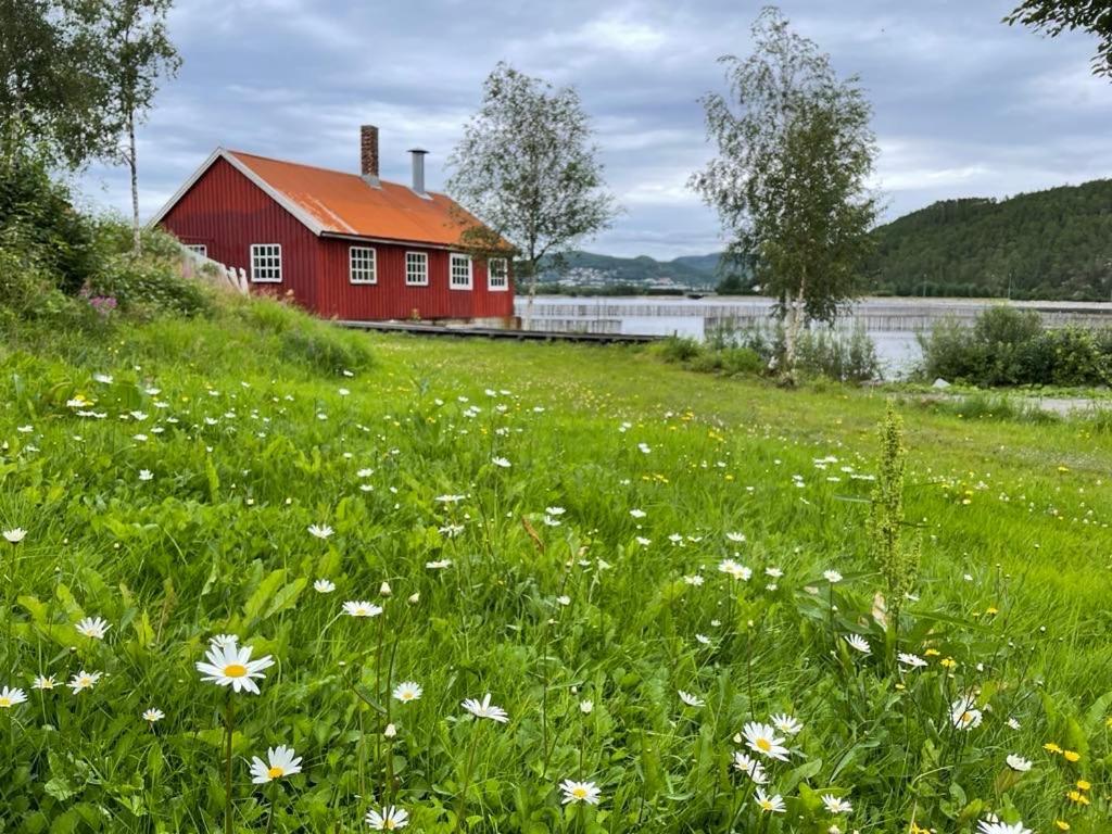 Stille Og Landlig, Men Sentrumsnaer Leilighet Lägenhet Namsos Exteriör bild